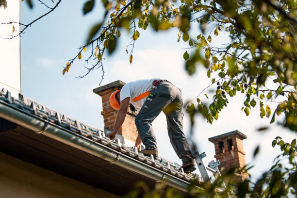 Fast & Reliable Emergency Roof Repairs in Baywood Park, CA